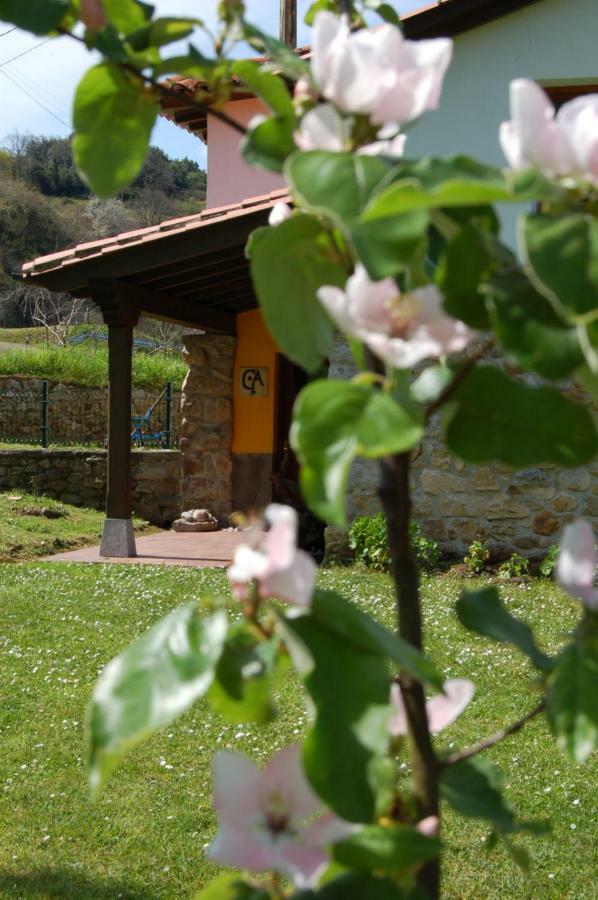 Vila Casa Del Sella El Llano Exteriér fotografie