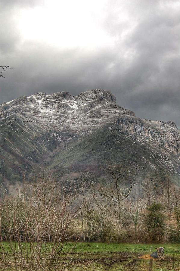 Vila Casa Del Sella El Llano Exteriér fotografie