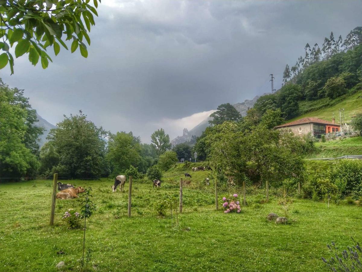 Vila Casa Del Sella El Llano Exteriér fotografie