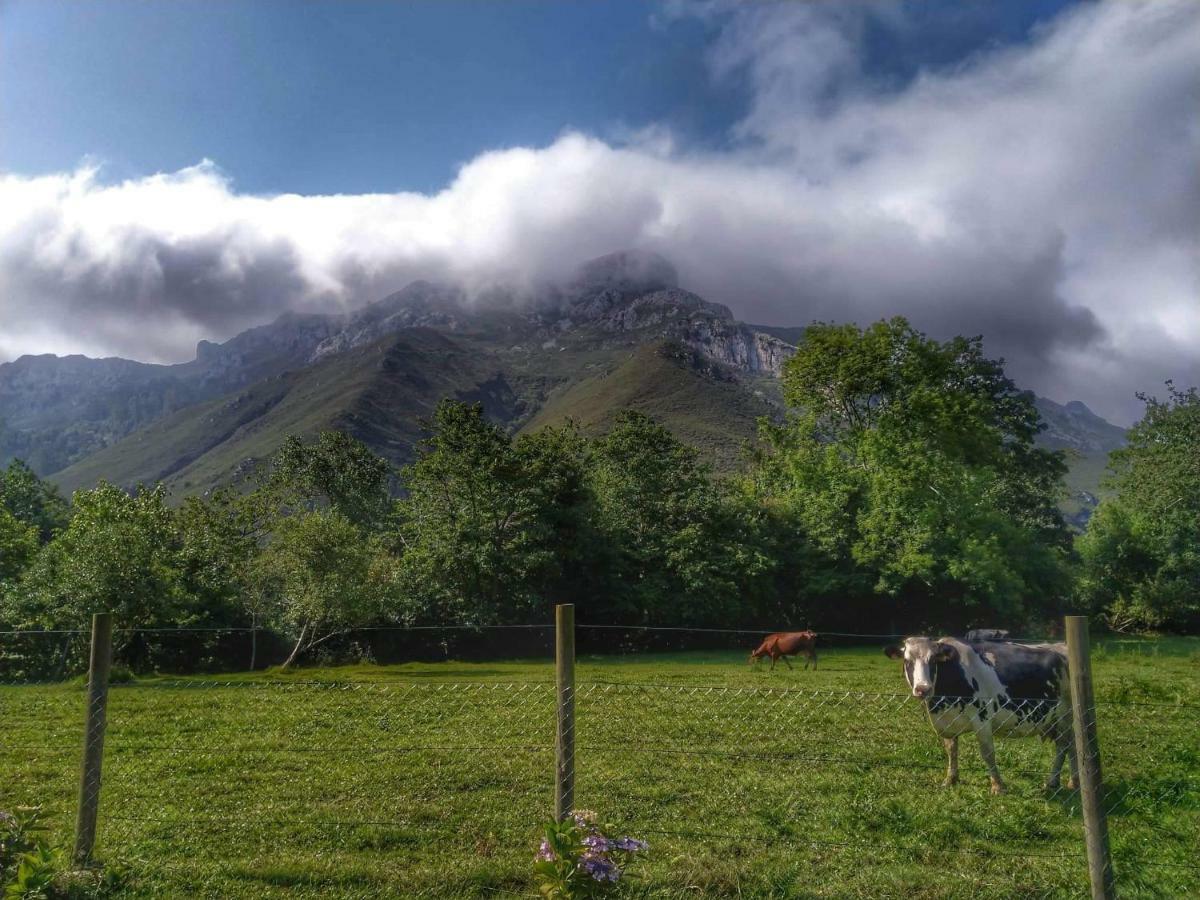 Vila Casa Del Sella El Llano Exteriér fotografie